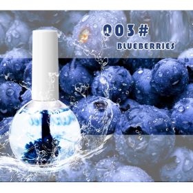 Nail Beauty Dried Flowers Nutrition Nail Treatment Oil Anti-agnail Nail Edge Moisturizing Nail Base Coat Natural Dried Flower Nutrient Solution (Option: 003 Blueberry-15ML)